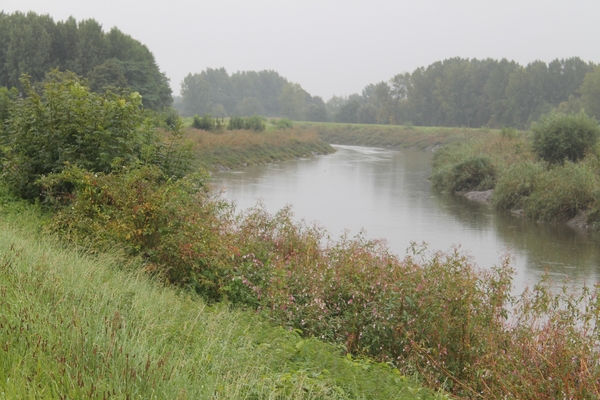 Trappen en happen (55 km) 31 augustus 2014 025