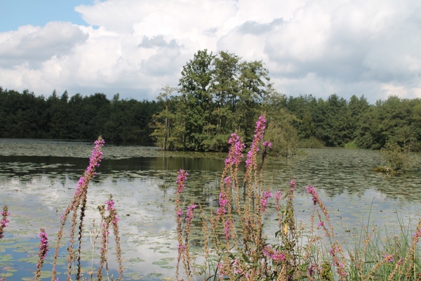 Trappen en happen (55 km) 31 augustus 2014 039