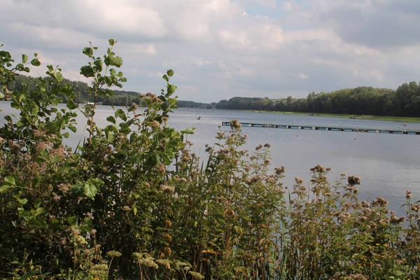 Trappen en happen (55 km) 31 augustus 2014 068