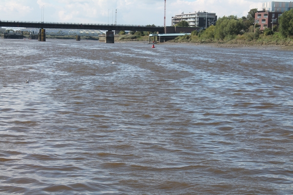 Trappen en happen (55 km) 31 augustus 2014 087