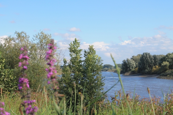 Trappen en happen (55 km) 31 augustus 2014 096