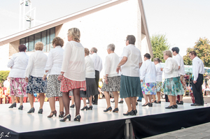 Dansen op de jaarmarkt Centrum - 15 september 2014