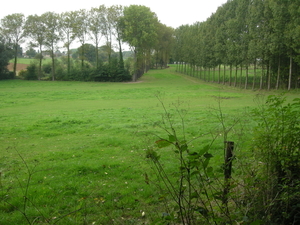 2014-09-15 001 008