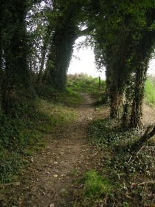 2014-09-15 001 009