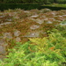 140914 HEVERLEE 002