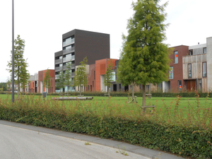 Ylwcederpark