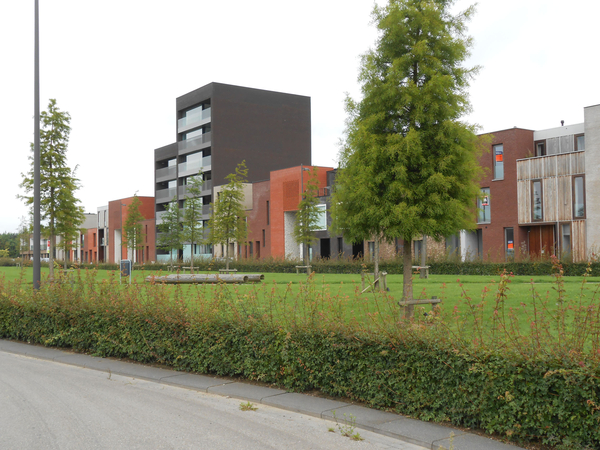 Ylwcederpark
