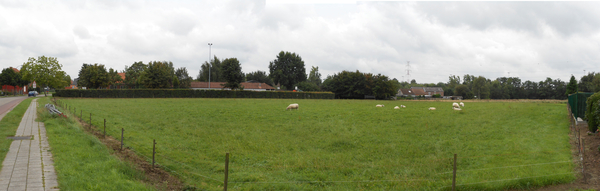 Ypano_weide_kristoffel