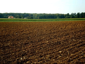 hoog vlaams brabant