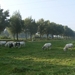 Bavikhove September 2014 001