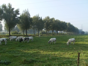 Bavikhove September 2014 001