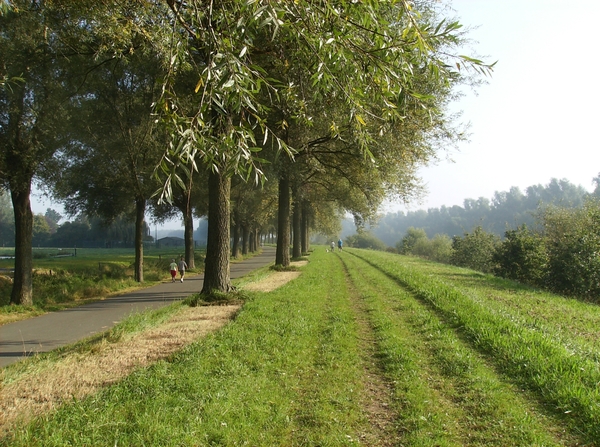 Bavikhove September 2014 002