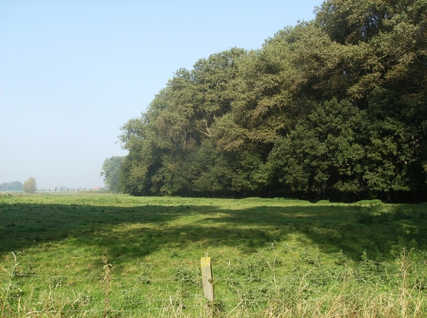 Bavikhove September 2014 012