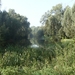 Bavikhove September 2014 020