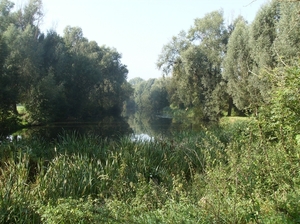 Bavikhove September 2014 020