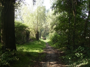 Bavikhove September 2014 023