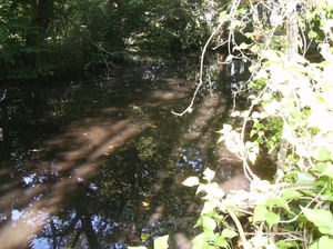 Bavikhove September 2014 024
