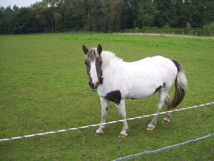 Wandeling in Katelijne - 11 september 2014