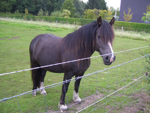 Wandeling in Katelijne - 11 september 2014