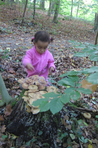 Nora bij de paddestoelen
