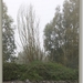 sized_P1210444