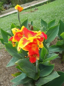 sized_DSCN0835
