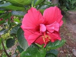 sized_IMG_8430