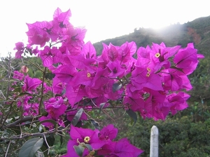 sized_IMG_8431