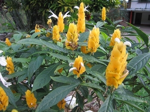 sized_IMG_8432