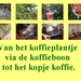 koffie