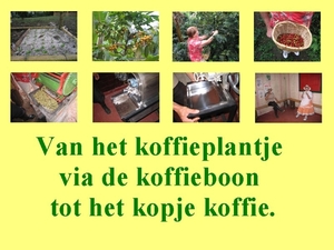 koffie