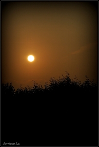 1-DSC_4641