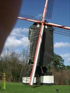 KASTERLEE 50 JAAR HUWELIJK