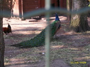 BORNEM KINDERBOERDERIJ