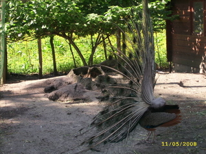 BORNEM KINDERBOERDERIJ