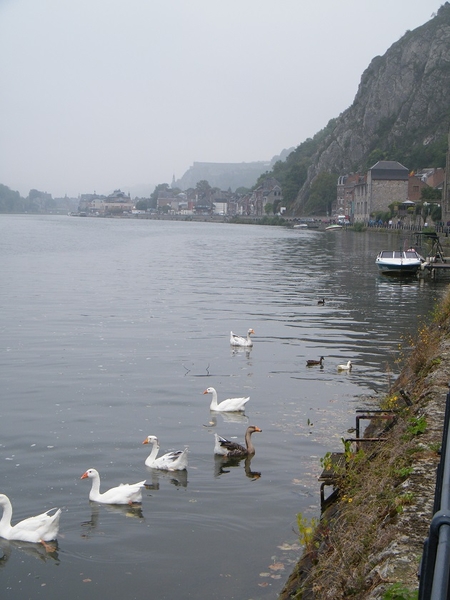 2014_09_14 Dinant 38