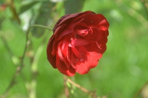 050