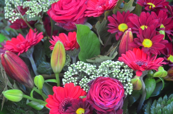 002 OBLIGADO.....BRUJAS !