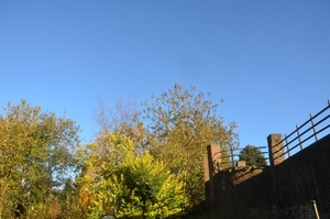 039