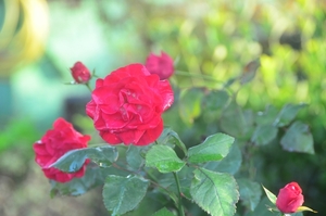 047