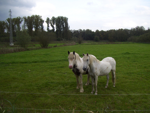 Wandeling naar Battenbroek - 2 oktober 2014