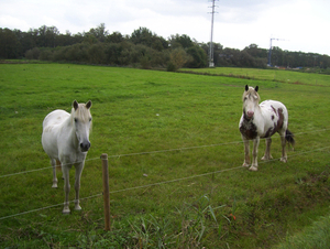 Wandeling naar Battenbroek - 2 oktober 2014