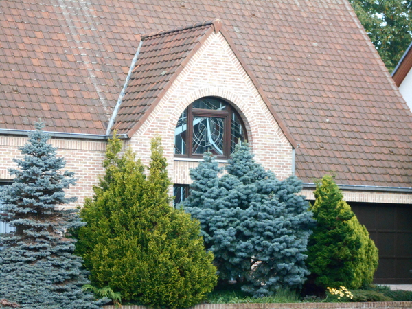 STERREBEEK 003