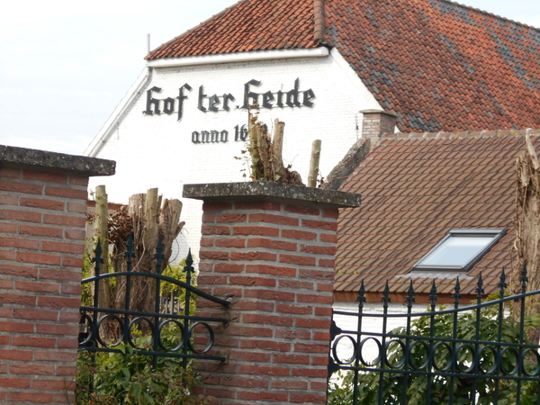 STERREBEEK 010