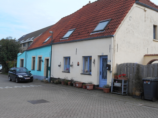 STERREBEEK 012