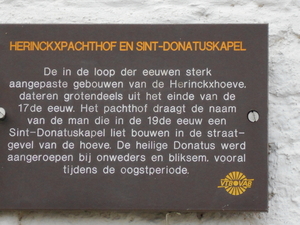 STERREBEEK 013
