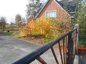 TORHOUT 009