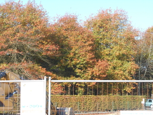 KOEKELAERE 014