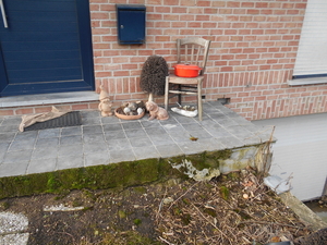 DIKSMUIDE 006