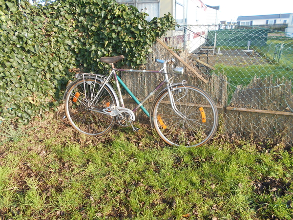BLANKENGERGE 013